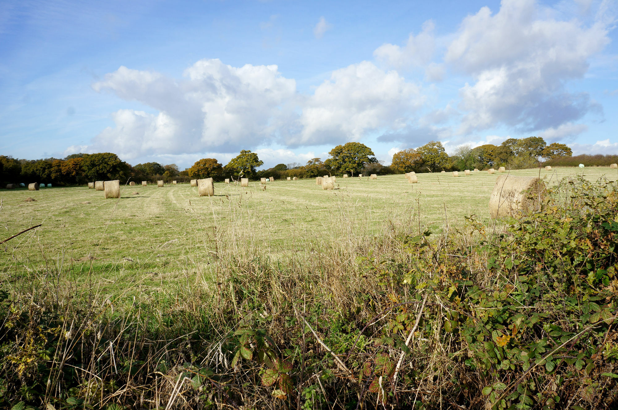 Leyland Country House Lymington Buitenkant foto